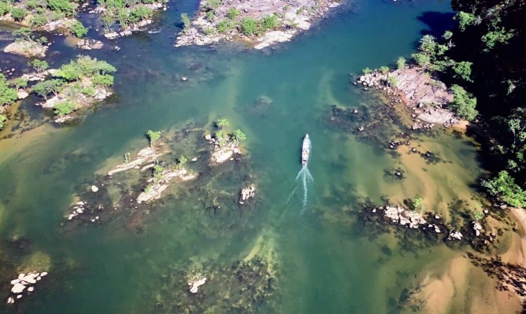 The Heartbeat of the Amazon