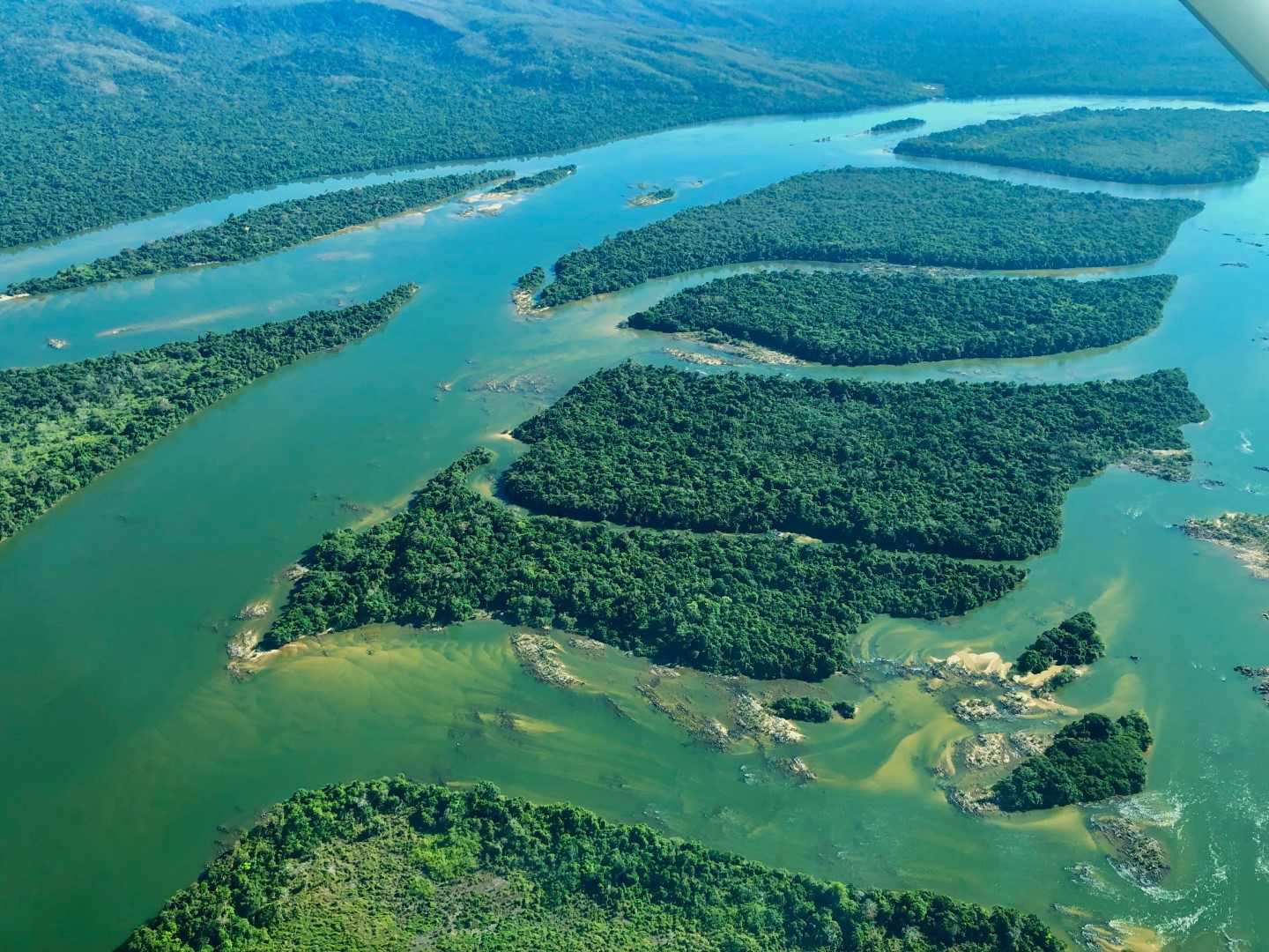 img-2676.jpg?w=800&h=465&fit=