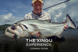 The Xingu Experience 