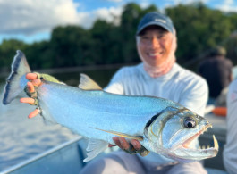 Xingu Lodge Fishing Report 2026 |  Clearer Waters and Forest Magic